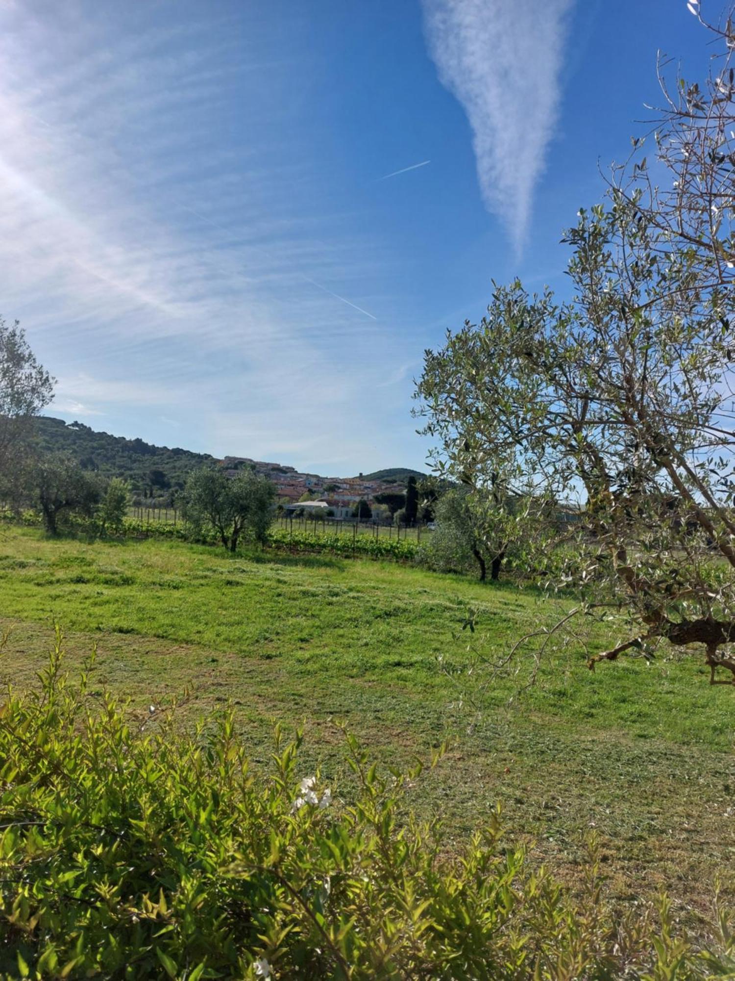 Bed and breakfast Vento E Mare